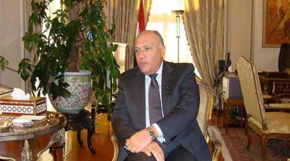 سامح شكرى: مصر منخرطة مع فرنسا لإعادة السلام بين فلسطين وإسرائيل