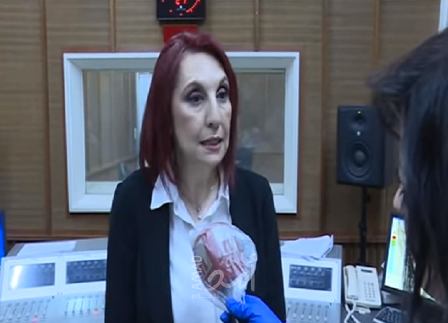 بعد ضجة حديث زوجة رئيس الوزراء.. الحكومة اللبنانية ترد: "ما قصدته مولوي ينطلق من الحرص"
