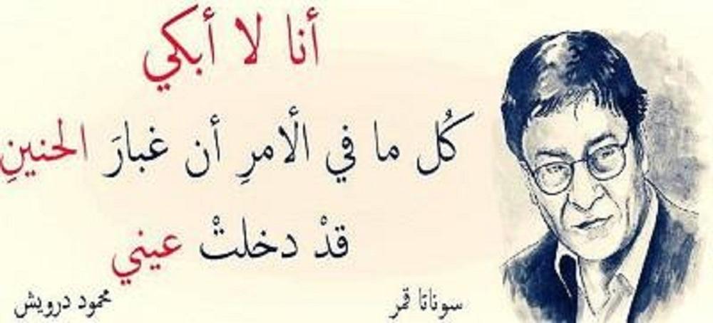 في يوم ميلاد محمود درويش مخترع الكلام: سلام للذين أحبهم عبثا