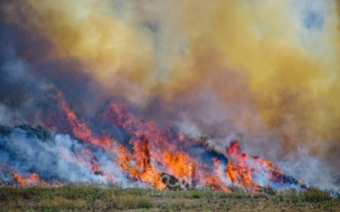 محدث.. إعلام عبري: 28 حريق في بلدات إسرائيلية بفعل بالونات غزة