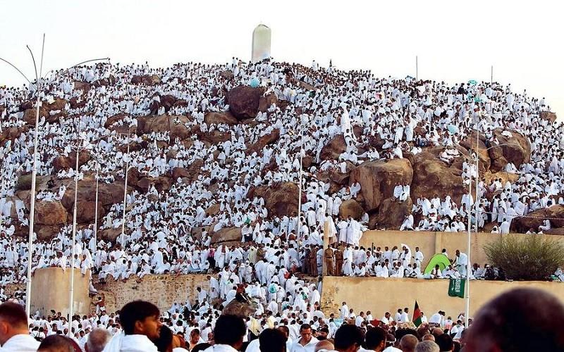 ضيوف الرحمن يقفون على صعيد عرفات لأداء ركن الحج الأعظم