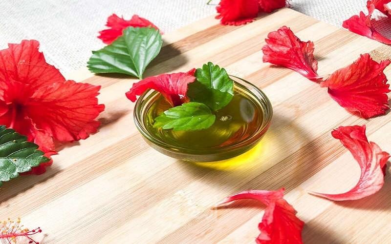 فوائد الكركديه للشعر
