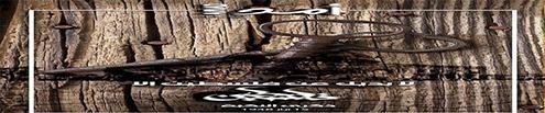 تغييب فعالية مركزية فلسطينية بالضفة لإحياء ذكرى النكبة الـ  71 وخلوها على الضيق عشان "الصديق" أرغمان ما يزعل، وهذا زعله مر...مش هيك يا "قدوتهم" أو يا "..."!