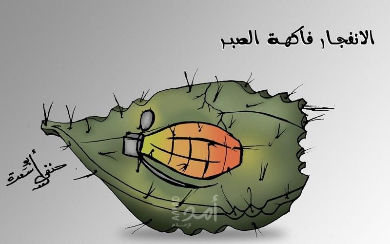 الانفجار فاكهة الصبر