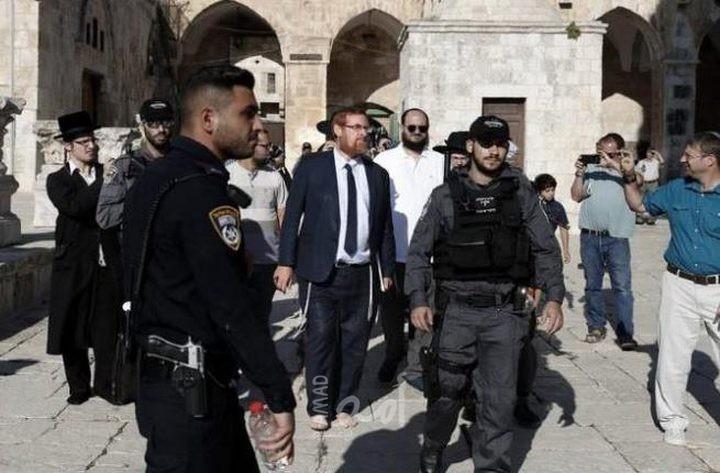 (66) مستوطناً يقتحمون ساحات "المسجد الأقصى" بحراسة شرطة الاحتلال