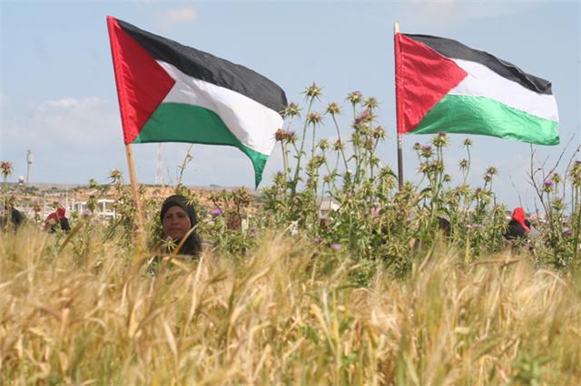 الغول: توزيع الأراضي الحكومية تعدٍ على ممتلكات الشعب الفلسطيني
