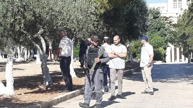 عشرات المستوطنين يجددون اقتحامهم للأقصى
