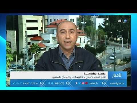 بالفيديو.. سياسي فلسطيني: تبني 8 قرارات أممية بأغلبية هي انتصار سياسي