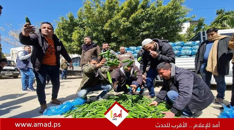 مزارعون يتفلون منتجاتهم  بسبب وقف تصدير الخضروات للضفة وإسرائيل- صور