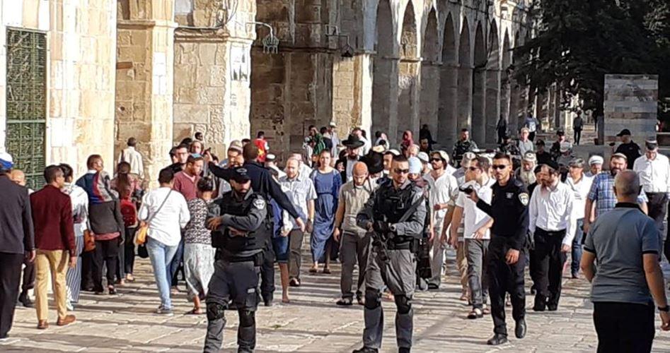بالفيديو - الدبس: قوات الاحتلال تحاول تقسيم المسجد الأقصى