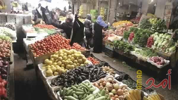 الزراعة توضح أسباب ارتفاع سعر "البندورة" في قطاع غزة