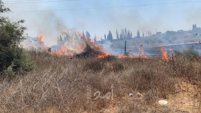 13 حريق اندلع في أحراش بلدات إسرائيلية بفعل بالونات غزة الحارقة- فيديو وصور
