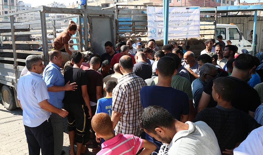 الأونروا توزّع لحوم الأضاحي على 2,085 عائلة لاجئة في غزة