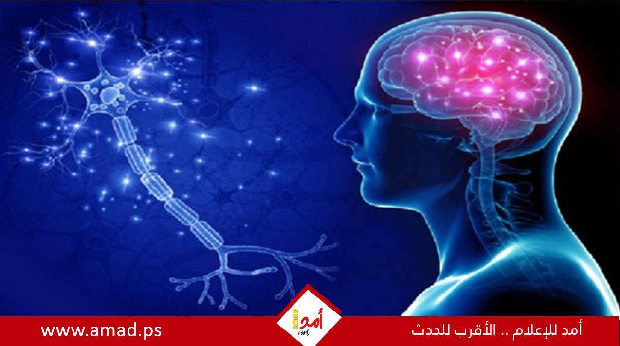 الوقاية من مرض ألزهايمر ممكنة.. هذه العوامل تتحكم فيه!