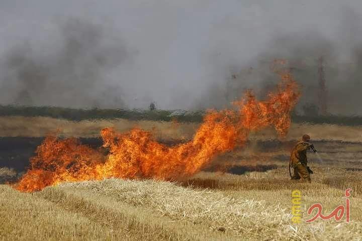 5 حرائق داخل السياج الفاصل شرق قطاع غزة بفعل بالونات حارقة