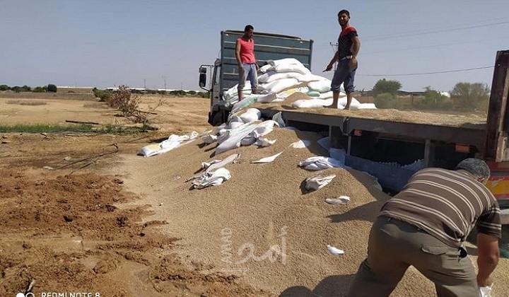 زراعة حماس تتلف 20 طن أعلاف أبقار مخالفة للمواصفات