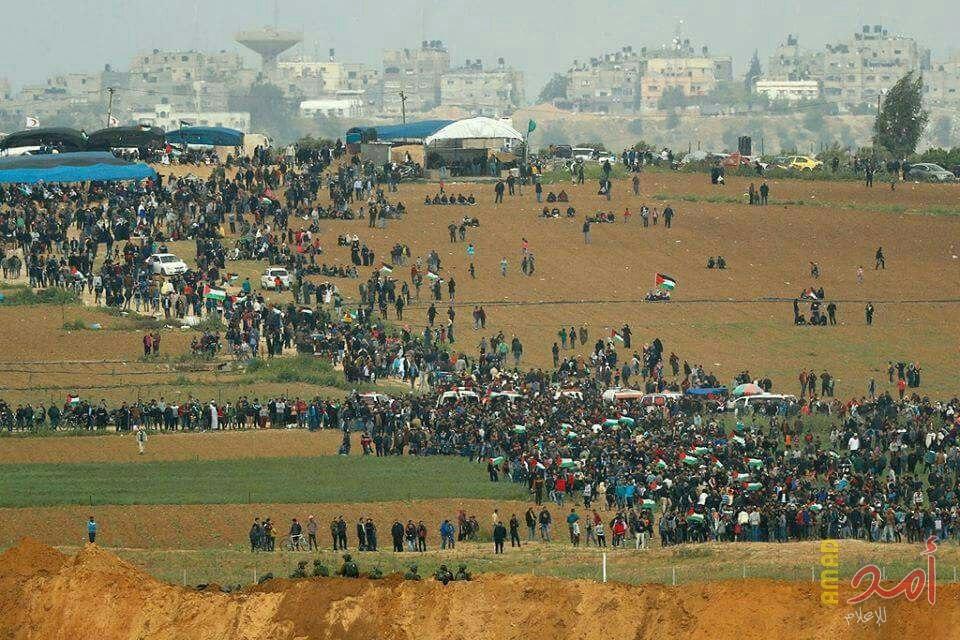 الإعلام الفلسطينية: إحياء يوم الأرض تمسك بالثوابت
