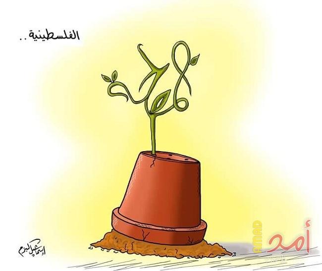 المصالحة الفلسطينية
