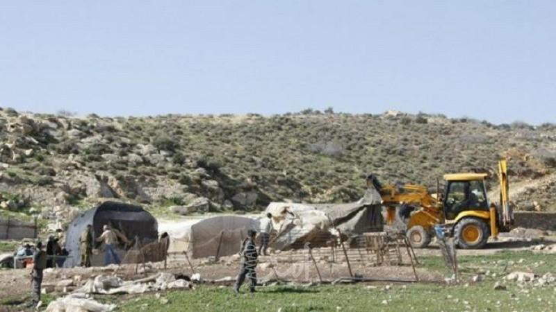 جيش الاحتلال يدمر خيمة للماشية في الأغوار الشمالية