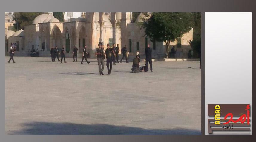 فيديو وصور - استشهاد 3 فلسطينيين ومقتل 2 من عناصر شرطة الاحتلال في عملية بالقدس