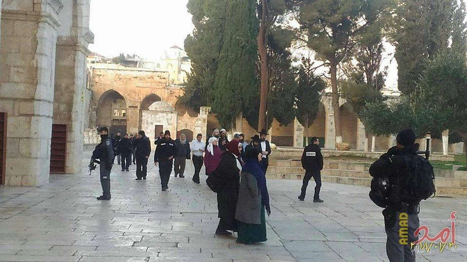 عدد كبير من المستوطنين يقتحمون المسجد الأقصى بحراسة مشددة