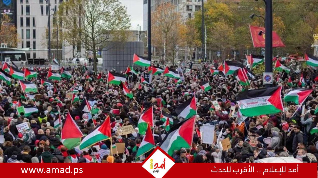 تواصل المسيرات الداعمة لفلسطين أمام محكمة العدل الدولية في لاهاي