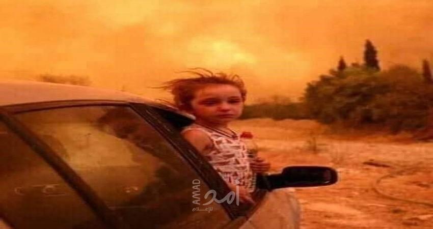 الجزائر تعلن حصيلة حرائق الغابات خلال الـ24 ساعة الماضية