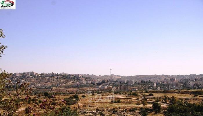 سلواد لبؤة الجبال