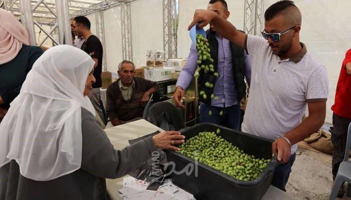 انطلاق فعاليات مهرجان قطف الزيتون الـ19 في بيت لحم