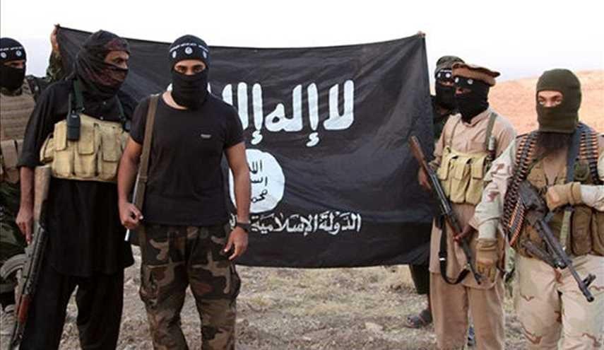 الدنمارك تجرد عناصر "داعش" من جنسيتهم
