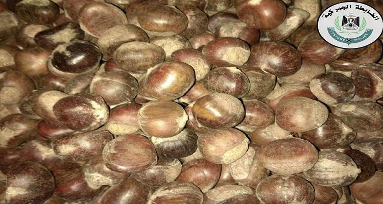 صحة غزة تتلف كميات كبيرة من الكستنة الفاسدة
