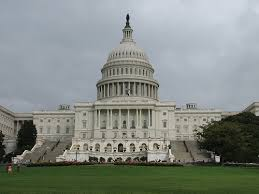 لأول مرة في التاريخ الأمريكي.. 100 امرأة في الكونغرس