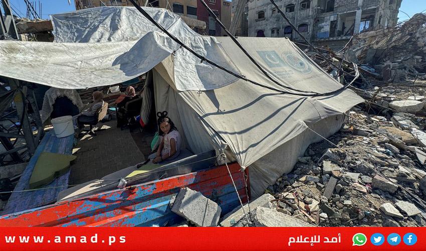 صحيفة عبرية: "المدينة الإنسانية" في غزة فكرة حمقاء وهدية لحماس