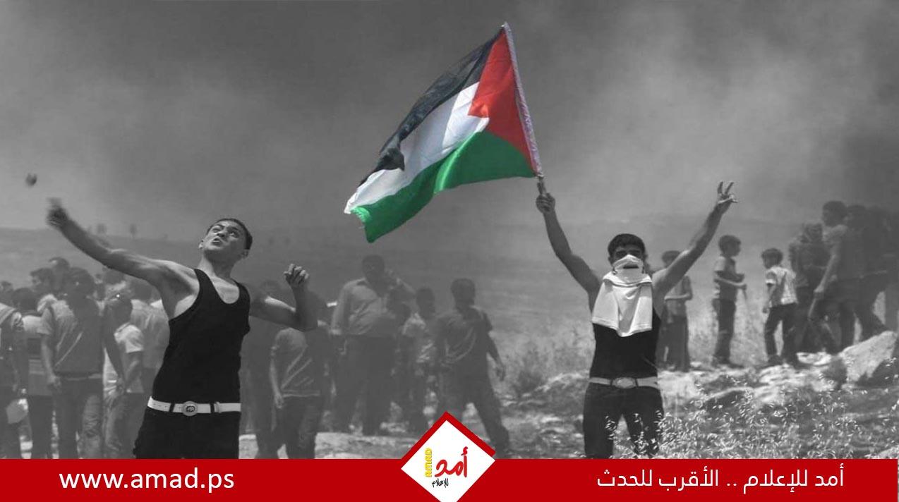 تقرير: المقاومة الشعبية.. بين النجاح والفشل