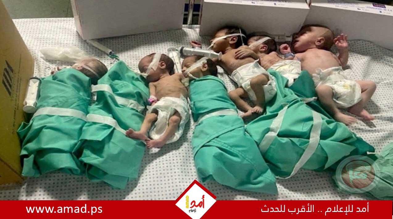 "يونيسيف": توقف مولدات الأوكسجين في مستشفى "شهداء الأقصى" يهدد حياة 20 مولودا