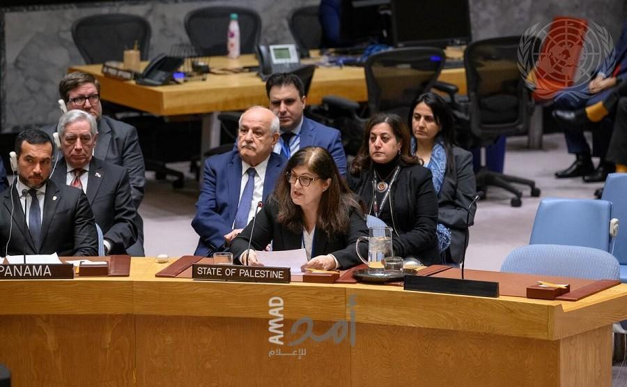 شاهين تدعو مجلس الأمن إلى منح دولة فلسطين العضوية الكاملة في الأمم المتحدة