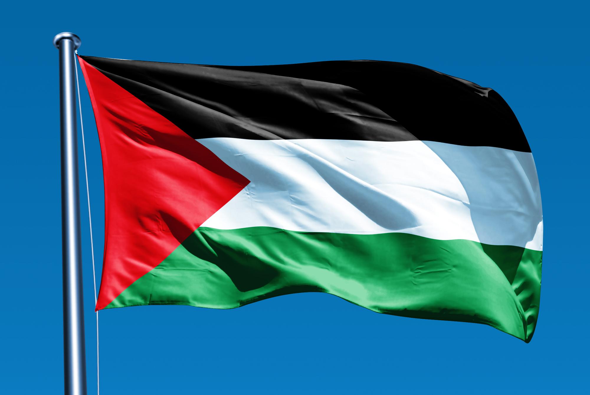 محدث ـ رفع علم فلسطين على واجهة مبنى بلدية سان دوني في فرنسا