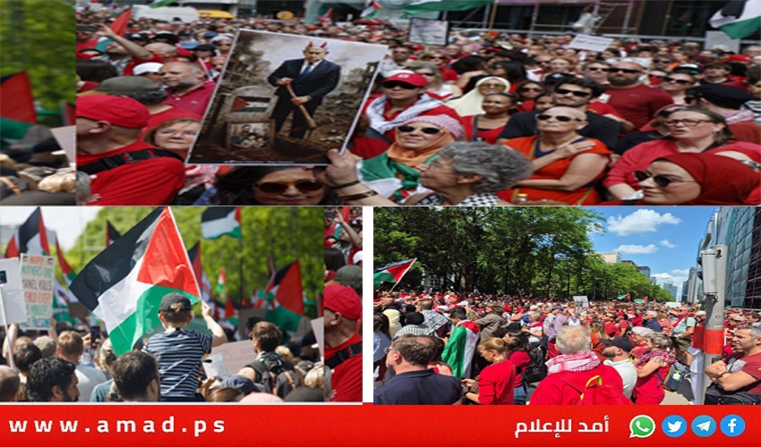 أرشيفية