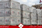 تقرير رسمي: 4 مليارات دولار إجمالي المساعدات الإماراتية لفلسطين 2023