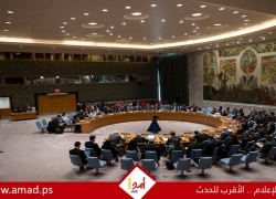 دول عربية ومنظمات إقليمية تأسف لعجز مجلس الأمن عن تمكين فلسطين من العضوية الكاملة