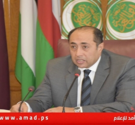 حسام زكي: العمل العربي المشترك "ضرورة استراتيجية" وليس ترفاً سياسياً