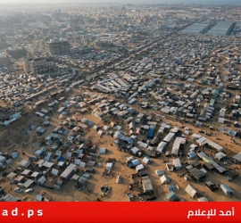 الإحصاء: مليون و100 ألف مواطن في محافظة رفح