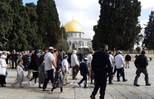 2230 مستوطنا اقتحموا المسجد الأقصى خلال عيد "الفصح"