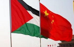 الصين تدعو إلى اتخاذ إجراءات عاجلة وحاسمة بشأن القضية الفلسطينية