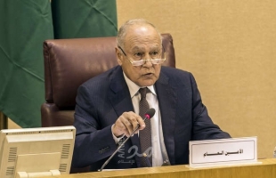 أبو الغيط: هناك إجماعٌ عربي على رفضِ التدخلات غير العربية في ليبيا 