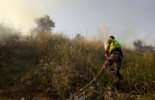 اندلاع النيران بعشرات الدونمات الزراعية شرق جنين