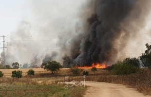 بالفيديو.. الحرائق تشتعل بأحراش البلدات الإسرائيلية المحاذية لغزة واستدعاء عشرات فرق الإطفاء