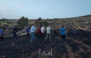 وزير الزراعة: حرق المستوطنين لأشجار الزيتون جنوب نابلس "عمل فاشي"