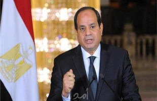 السيسي يؤكد رفض مصر اقتطاع جزء من الأراضي السورية
