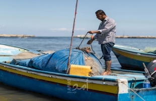 الميزان: قطاع الصيد في غزة شهد تدهورًا خطيرًا في السنوات الأخيرة